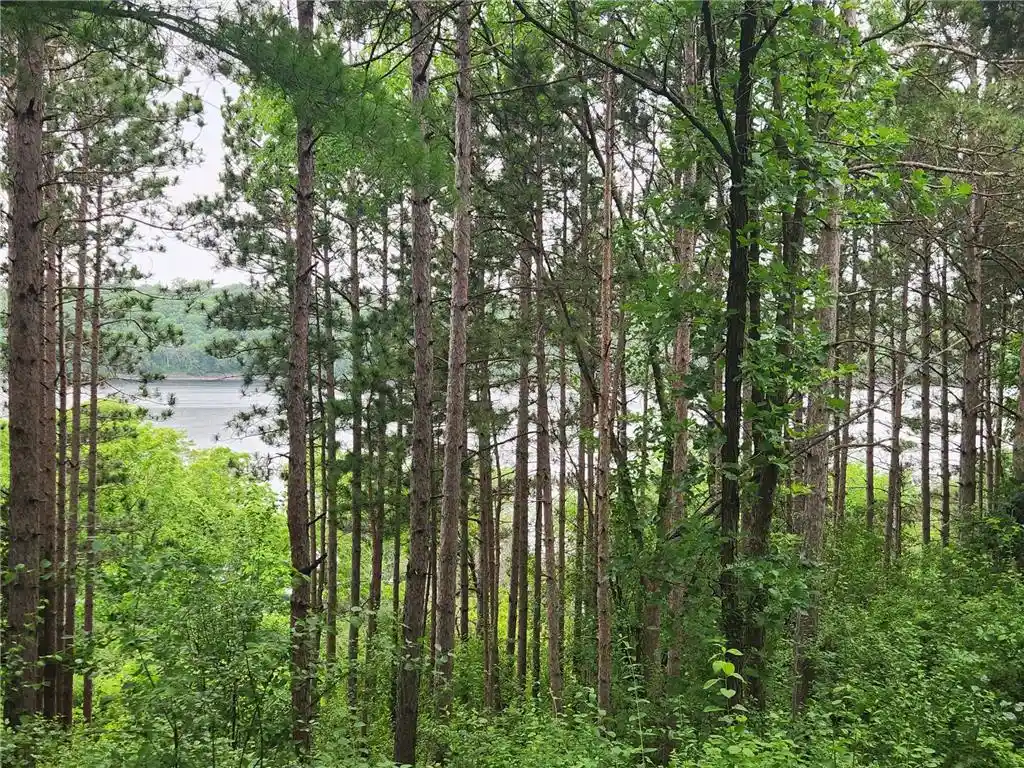 Photo 3 of Land for sale at Xxx Pearl Street, Prescott, WI 54021 | MLS# 7092976 | Listing updated on 2026-09-23