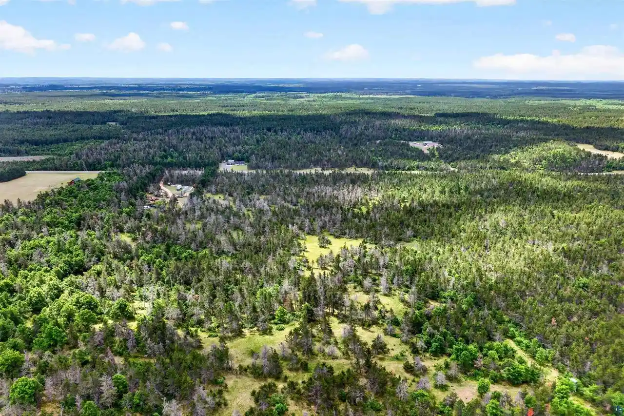 Homes for sale in Gordon, WI | 0 County Hwy Y, Gordon, WI 54838 | MLS# 6126096