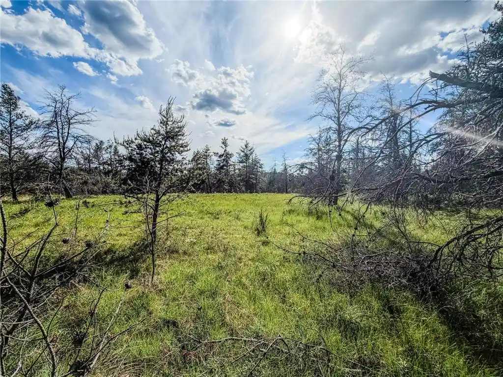 Homes for sale in Gordon, WI | 0 County Road Y, Gordon, WI 54838 | MLS# 7093598