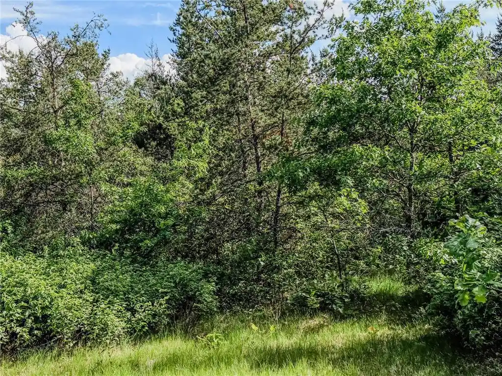 Homes for sale in Gordon, WI | 0 County Road Y, Gordon, WI 54838 | MLS# 7093598