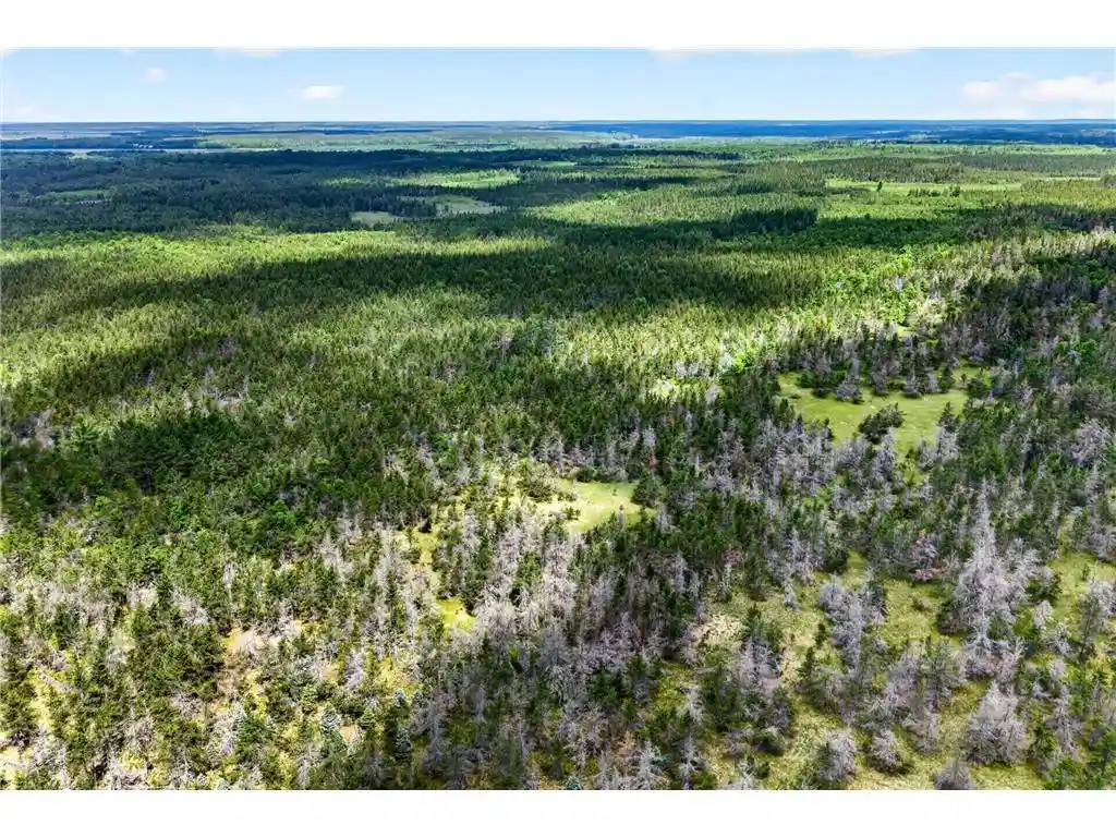 Homes for sale in Gordon, WI | 0 County Road Y, Gordon, WI 54838 | MLS# 7093598