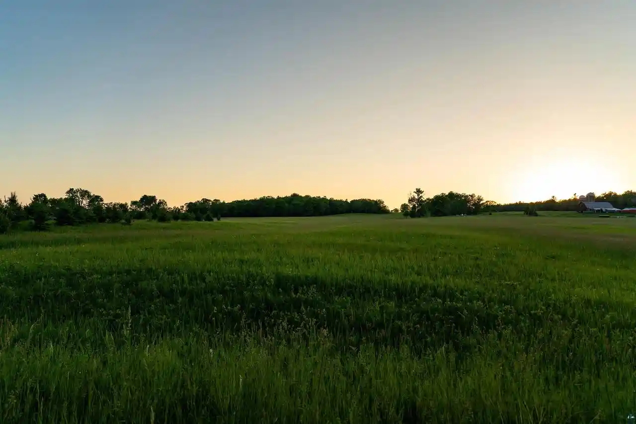 Homes for sale in Washburn, WI | 10 Acres On Viater Rd Rd, Washburn, WI 54891 | MLS# 6126098