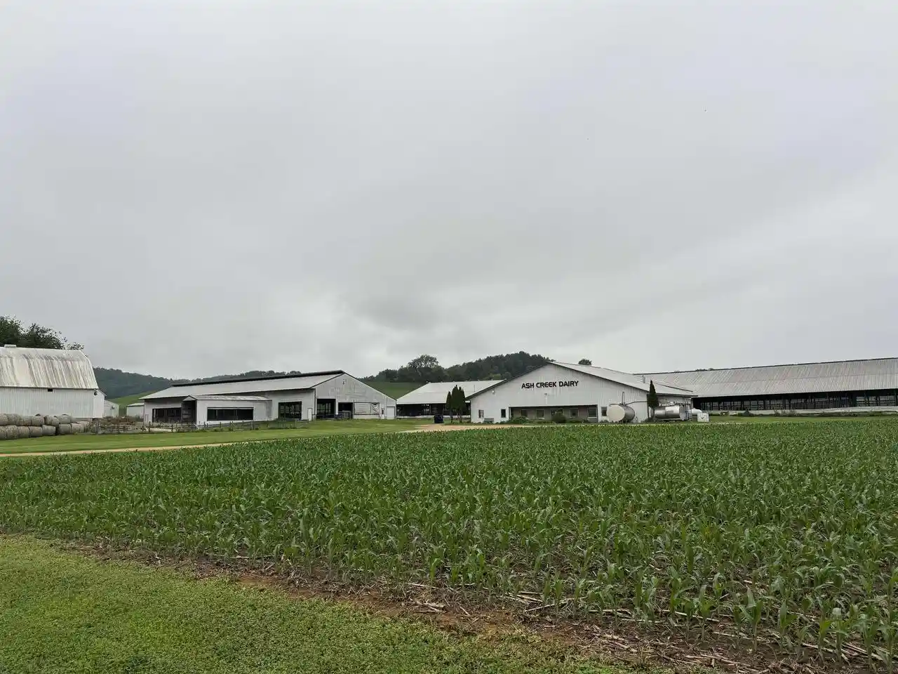 3rd image of 28798 County Hwy Tb Road Road, Richland Center, WI 53581 | MLS# 2025928