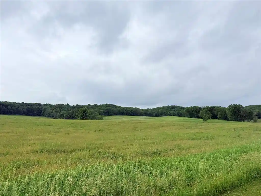 Homes for sale in Fall Creek, WI | 0 Grandview Dr Dr, Fall Creek, WI 54727 | MLS# 1602301