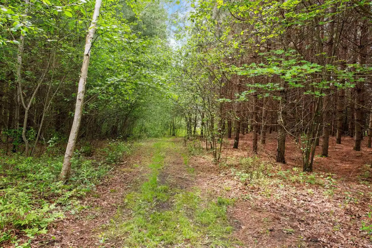1st image of Hale School Road Road, Peshtigo, WI 54157 | MLS# 50327481