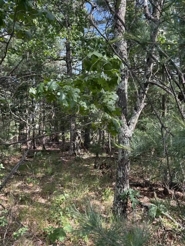 Homes for sale in Arkdale, WI | 1369 County Road C, Arkdale, WI 54613 | MLS# 2025964