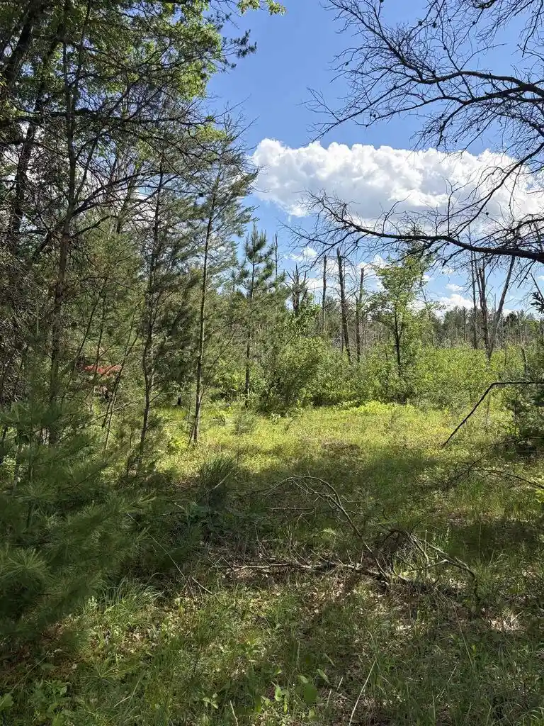 Homes for sale in Arkdale, WI | 1369 County Road C, Arkdale, WI 54613 | MLS# 2025964