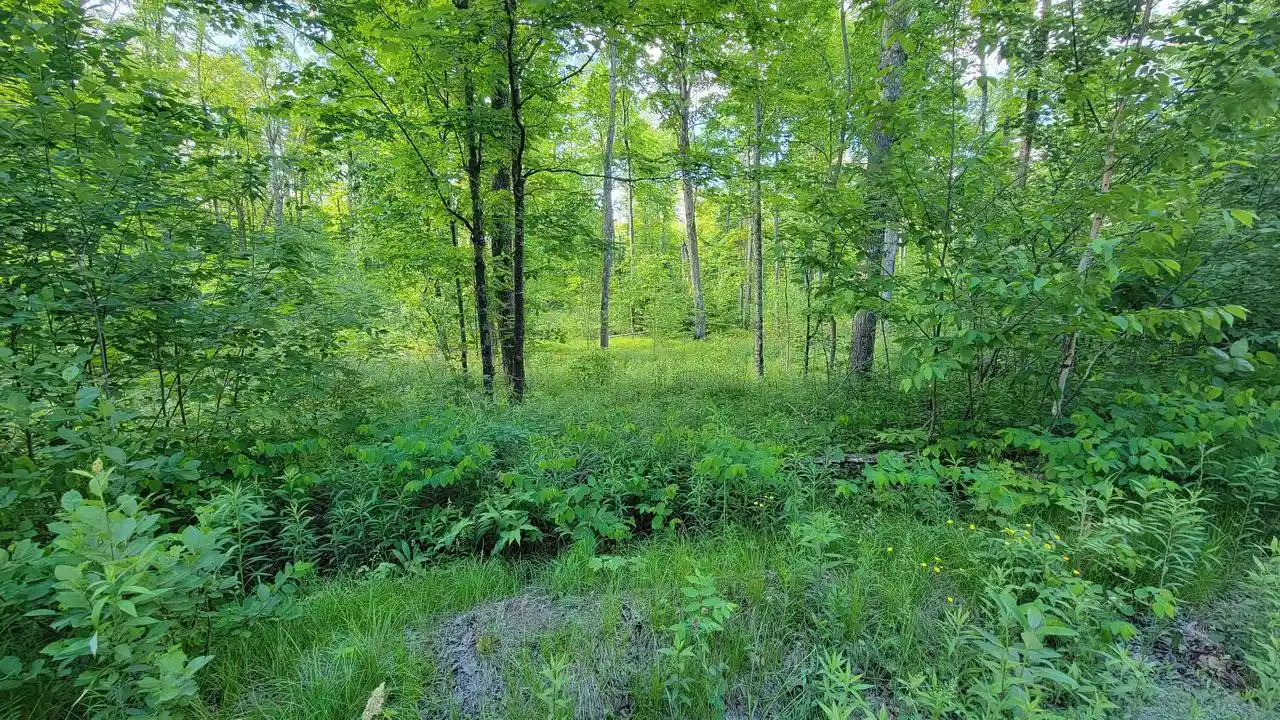 Homes for sale in Elcho, WI | On Brady Lane Lane, Elcho, WI 54428 | MLS# 22602752