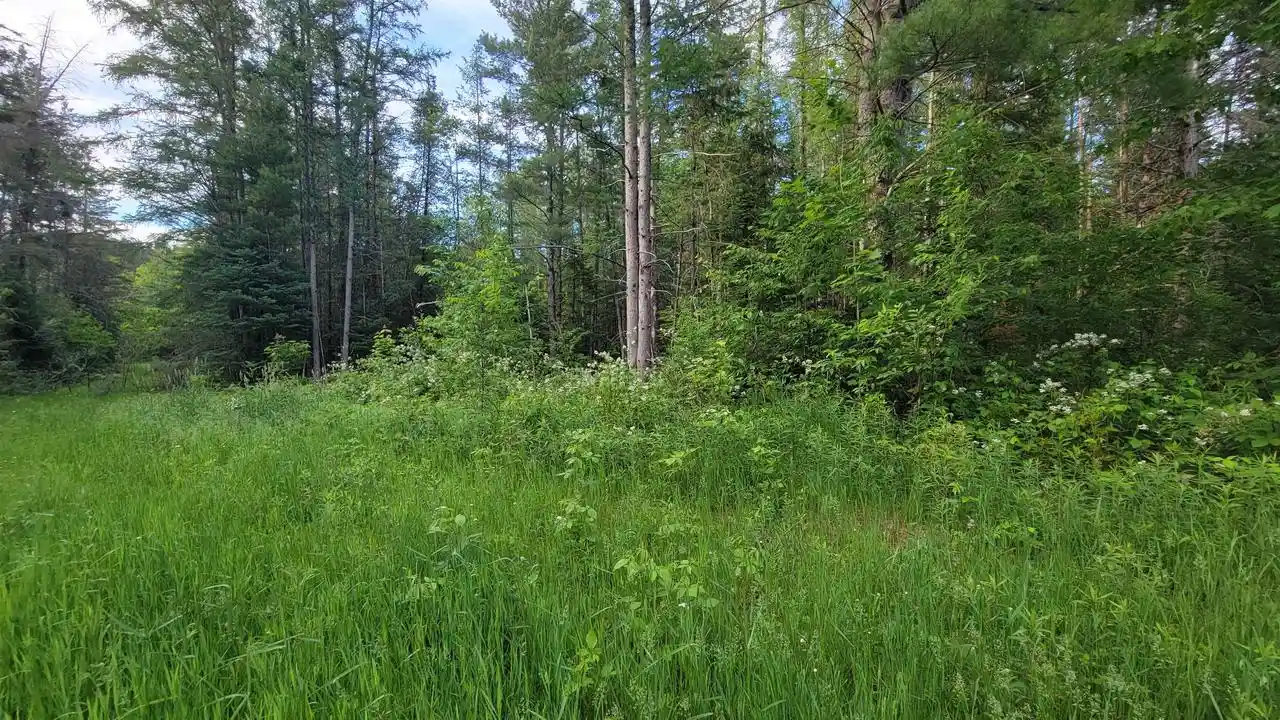 Homes for sale in Elcho, WI | On Brady Lane Lane, Elcho, WI 54428 | MLS# 22602752