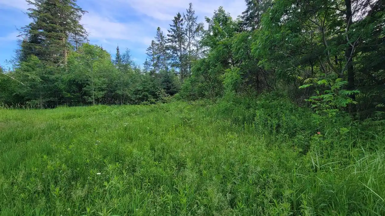 Homes for sale in Elcho, WI | On Brady Lane Lane, Elcho, WI 54428 | MLS# 22602752