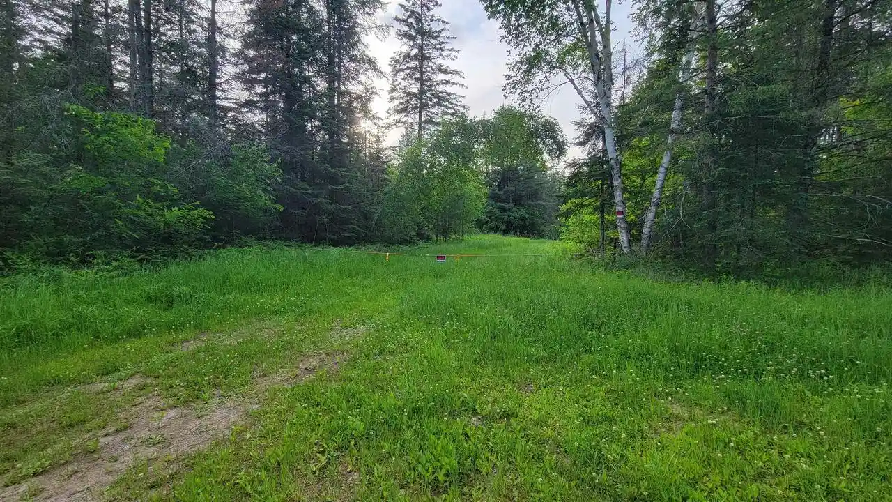 Homes for sale in Elcho, WI | On Brady Lane Lane, Elcho, WI 54428 | MLS# 22602752
