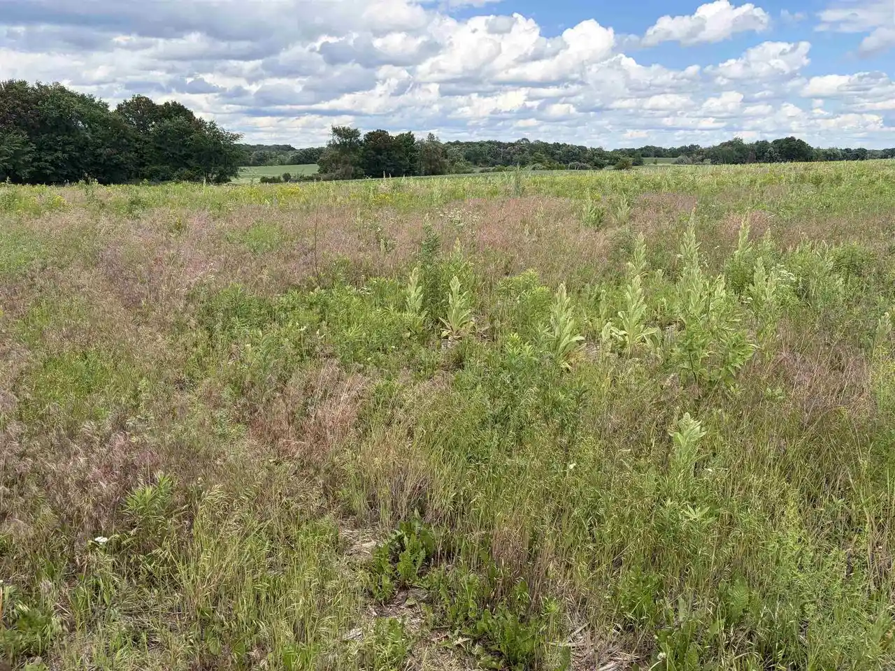 Homes for sale in Mauston, WI | W4642 Hwy 12 And 16, Mauston, WI 53948 | MLS# 2026025
