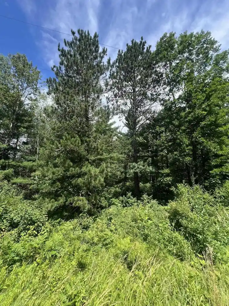 Homes for sale in Crystal Falls, MI | Us 141 Hwy, Crystal Falls, MI 49920 | MLS# 50327564