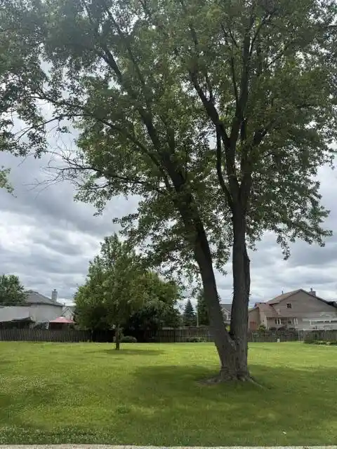Homes for sale in Twin Lakes, WI | 0 Willow Road Road, Twin Lakes, WI 53181 | MLS# 1967761