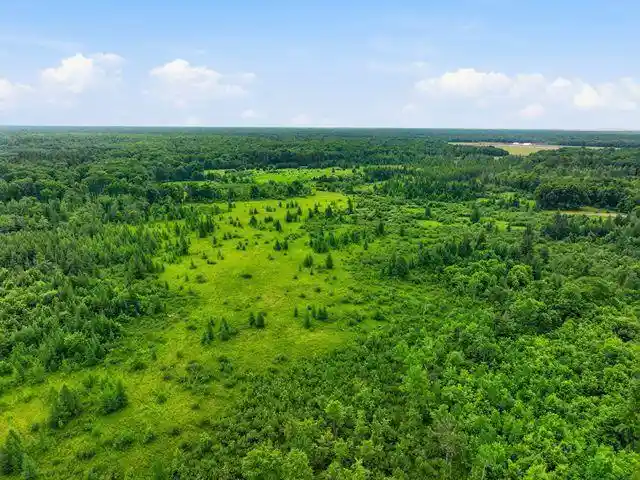 25th image of 00 Holst Road Road, Pittsville, WI 54466 | MLS# 22602766