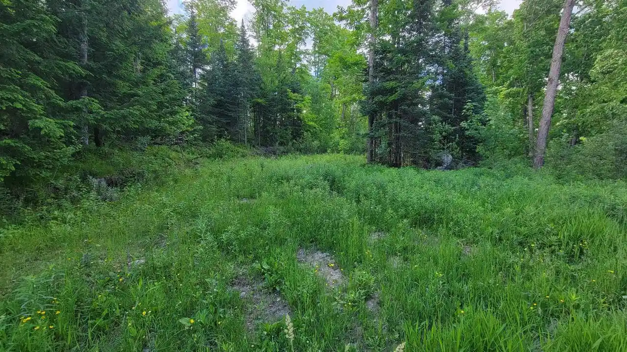 Homes for sale in Elcho, WI | On Hunting River Road Road, Elcho, WI 54428 | MLS# 22602769
