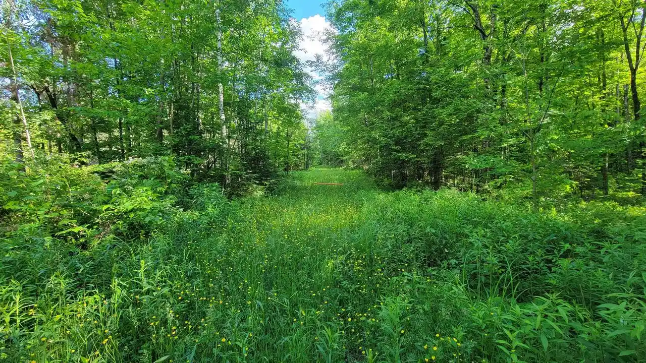 Homes for sale in Elcho, WI | On Hunting River Road Road, Elcho, WI 54428 | MLS# 22602769