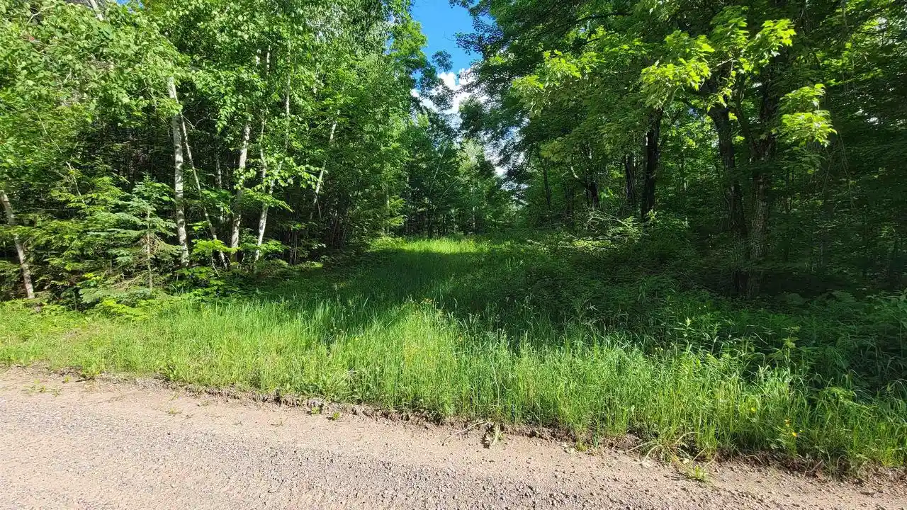 Homes for sale in Elcho, WI | On Hunting River Road Road, Elcho, WI 54428 | MLS# 22602769