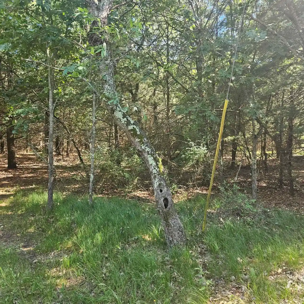 Homes for sale in Montello, WI | Lot 1 Woodland Avenue Avenue, Montello, WI 53949 | MLS# 2026105
