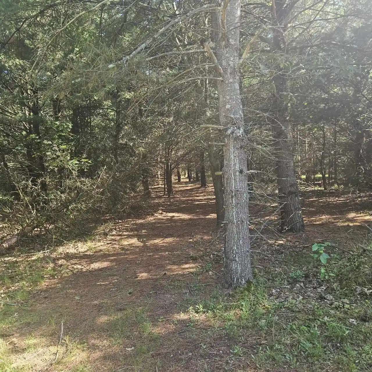 Homes for sale in Montello, WI | Lot 1 Woodland Avenue Avenue, Montello, WI 53949 | MLS# 2026105