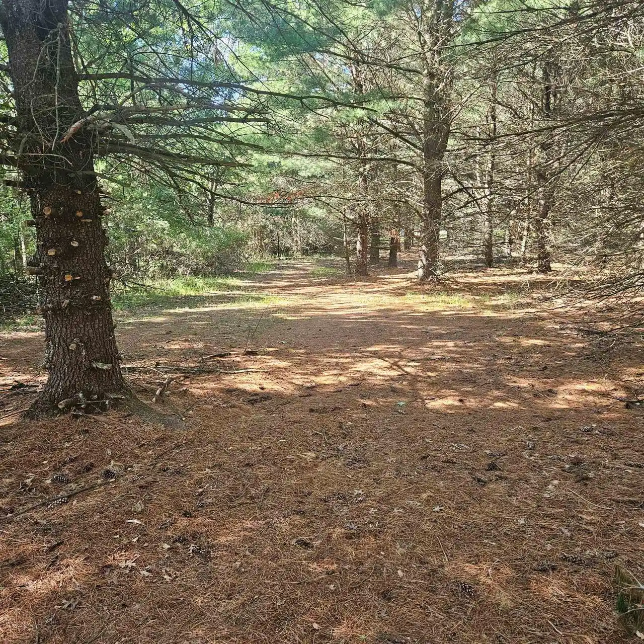 Homes for sale in Montello, WI | Lot 1 Woodland Avenue Avenue, Montello, WI 53949 | MLS# 2026105