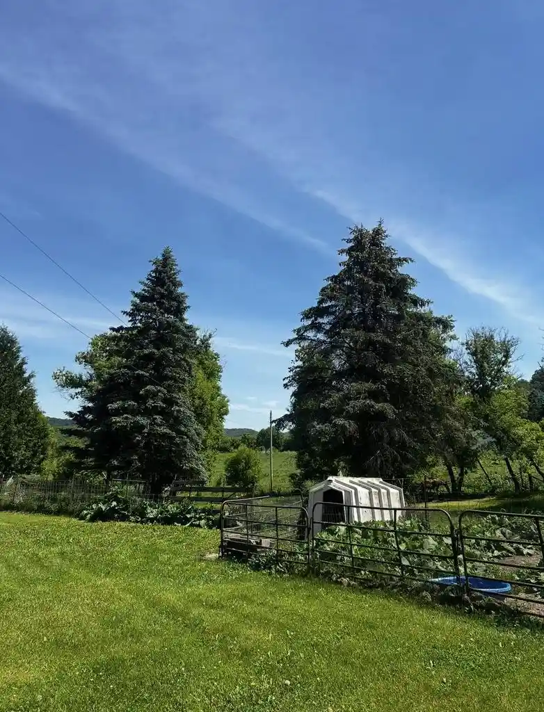 Homes for sale in Richland Center, WI | 15770 Us Hwy 14, Richland Center, WI 53581 | MLS# 2026137