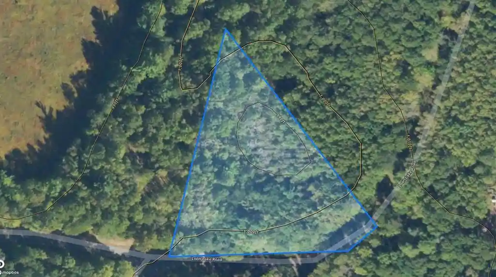 20th image of Lot 15 Loon Lake Road Road, Danbury, WI 54830 | MLS# 1602353