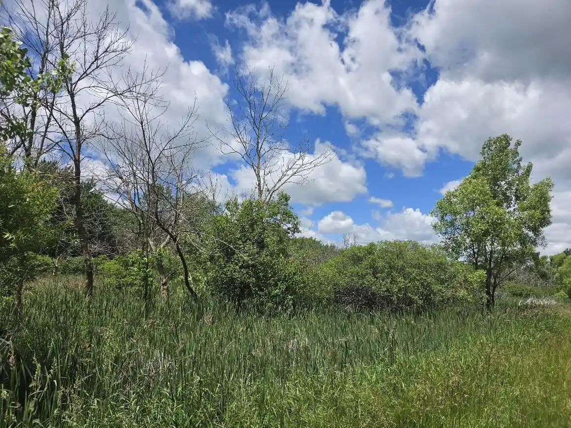 Homes for sale in Brillion, WI | Lot 1 Tamarack Road Road, Brillion, WI 54110 | MLS# 1967944