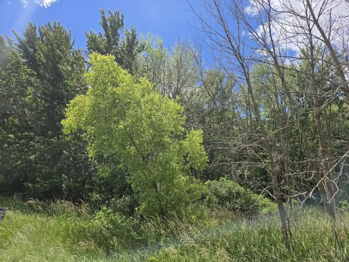 Homes for sale in Brillion, WI | Lot 1 Tamarack Road Road, Brillion, WI 54110 | MLS# 1967944