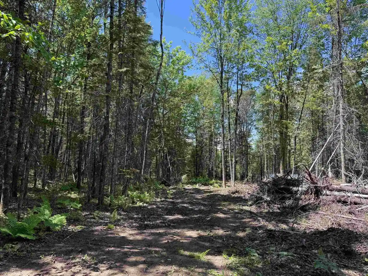Homes for sale in Park Falls, WI | On Pixley Shores Road W, Park Falls, WI 54552 | MLS# 22602785