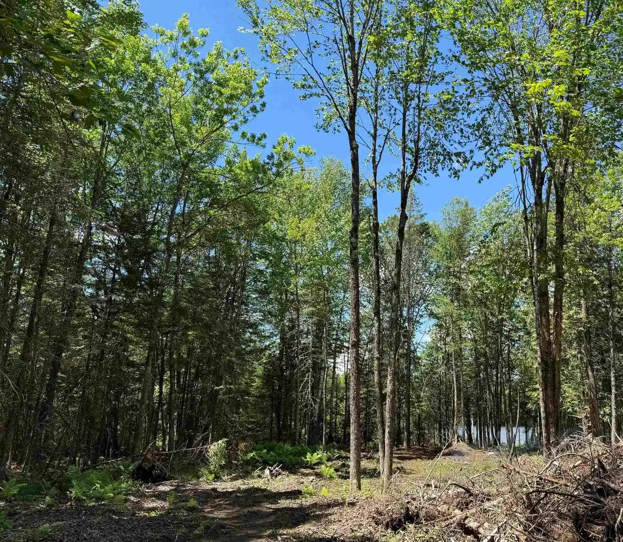Homes for sale in Park Falls, WI | On Pixley Shores Road W, Park Falls, WI 54552 | MLS# 22602785