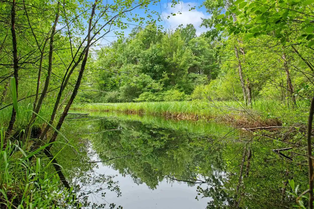 Photo 3 of Single family home for sale at W3017 Hale School Road Road, Peshtigo, WI 54157 | MLS# 50327625 | Listing updated on 2026-07-19