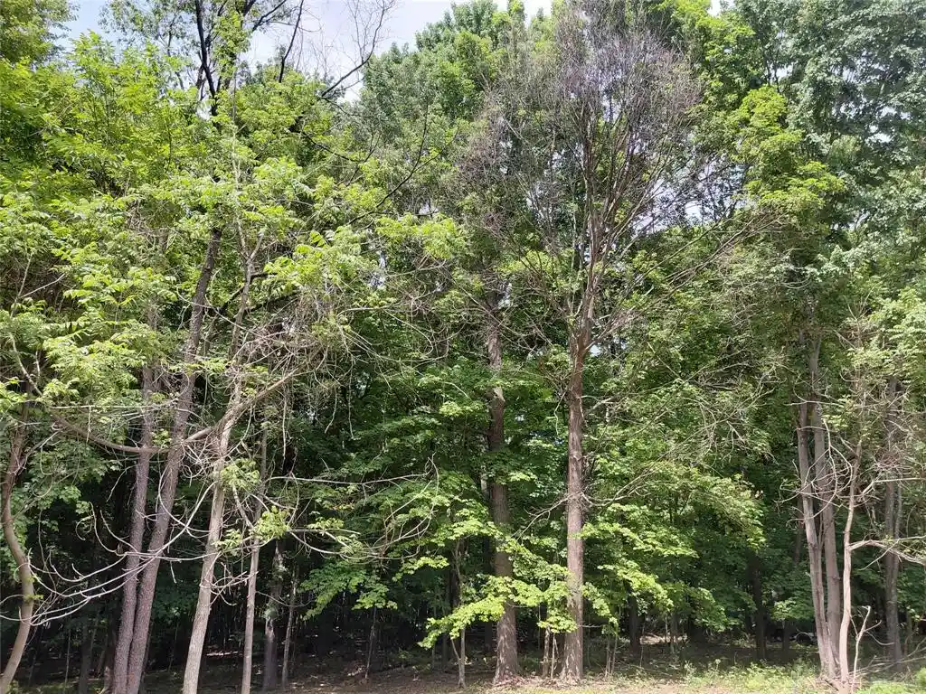 Homes for sale in Ridgeland, WI | E5329 1370 Avenue Avenue, Ridgeland, WI 54763 | MLS# 1602398