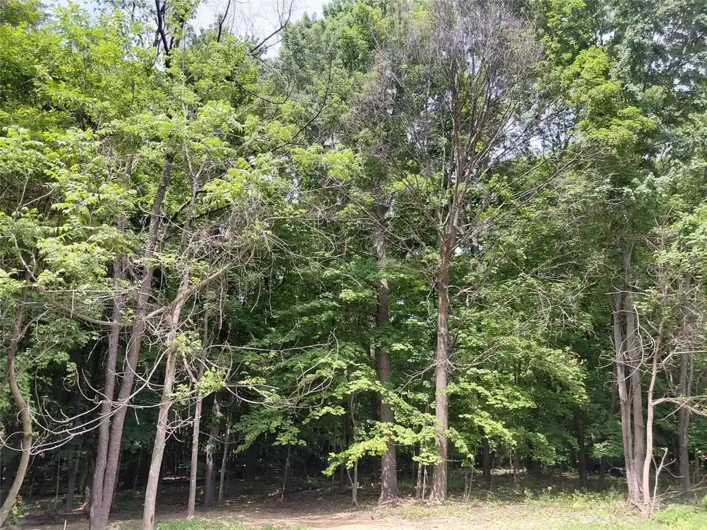Homes for sale in Ridgeland, WI | E5329 1370 Avenue Avenue, Ridgeland, WI 54763 | MLS# 1602398