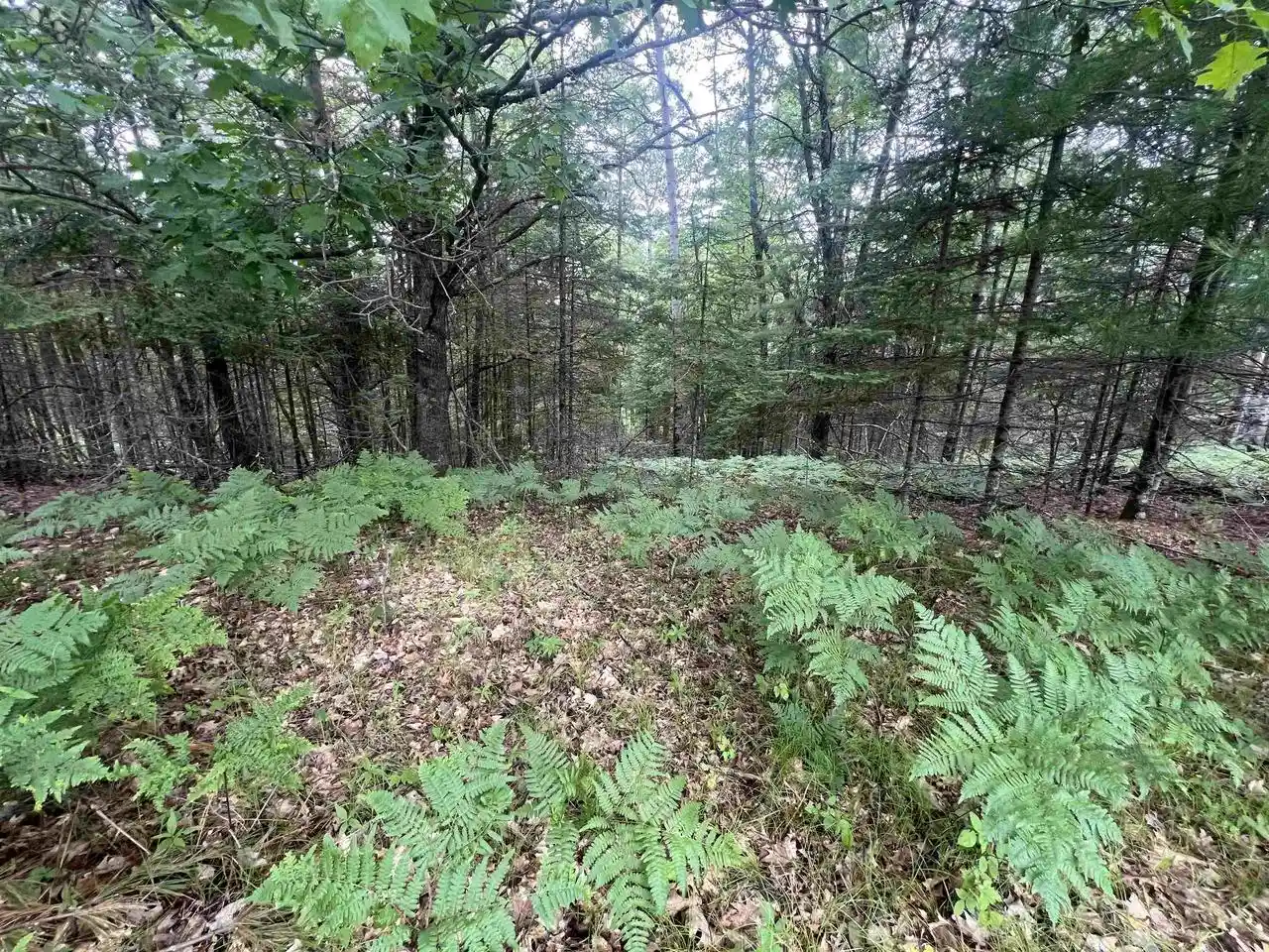 Photo 3 of Land for sale at W8192 Bielak Road Road, Wausaukee, WI 54177 | MLS# 50327676 | Listing updated on 2026-07-10