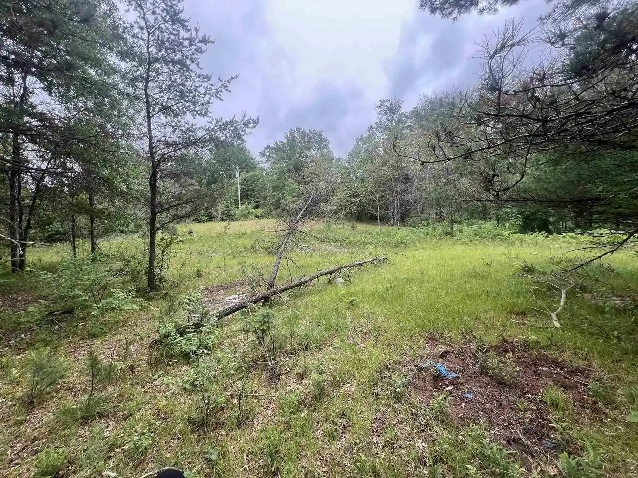 Homes for sale in Wausaukee, WI | Bielak Road Road, Wausaukee, WI 54177 | MLS# 50327682