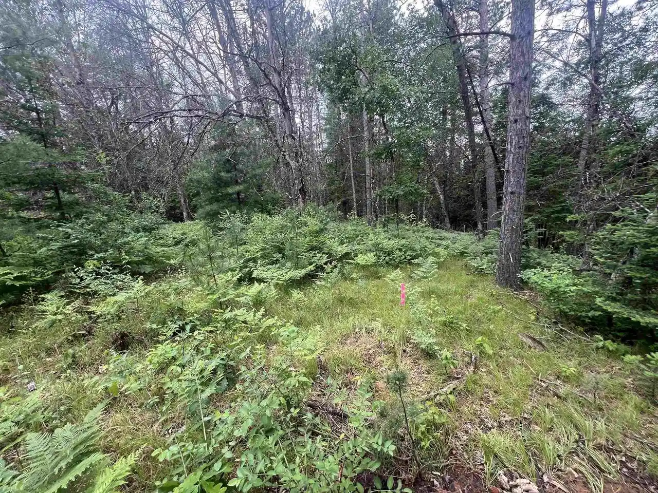 Homes for sale in Wausaukee, WI | Bielak Road Road, Wausaukee, WI 54177 | MLS# 50327682