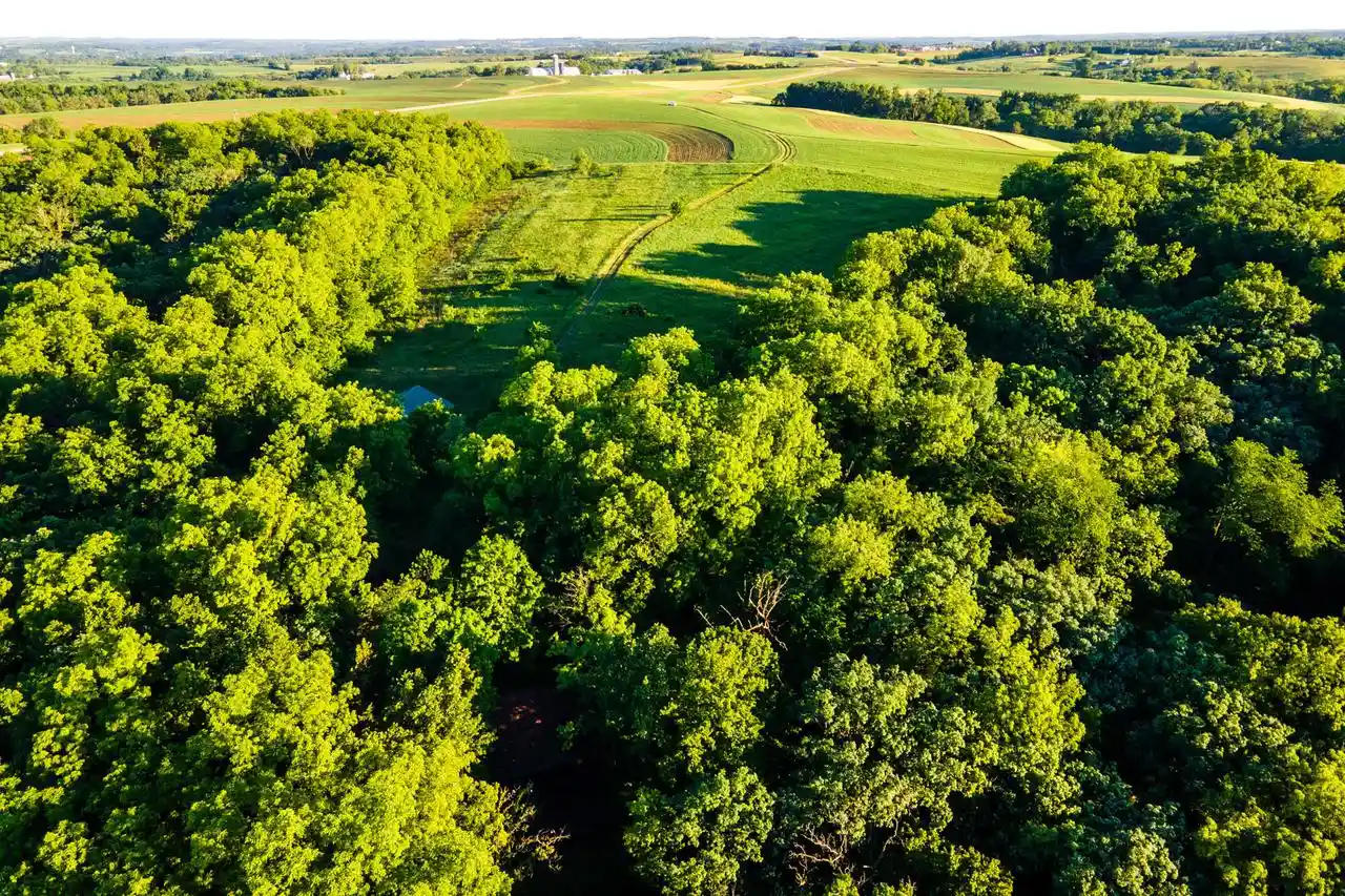 Homes for sale in Hollandale, WI | 825 County Road F, Hollandale, WI 53544 | MLS# 1968018