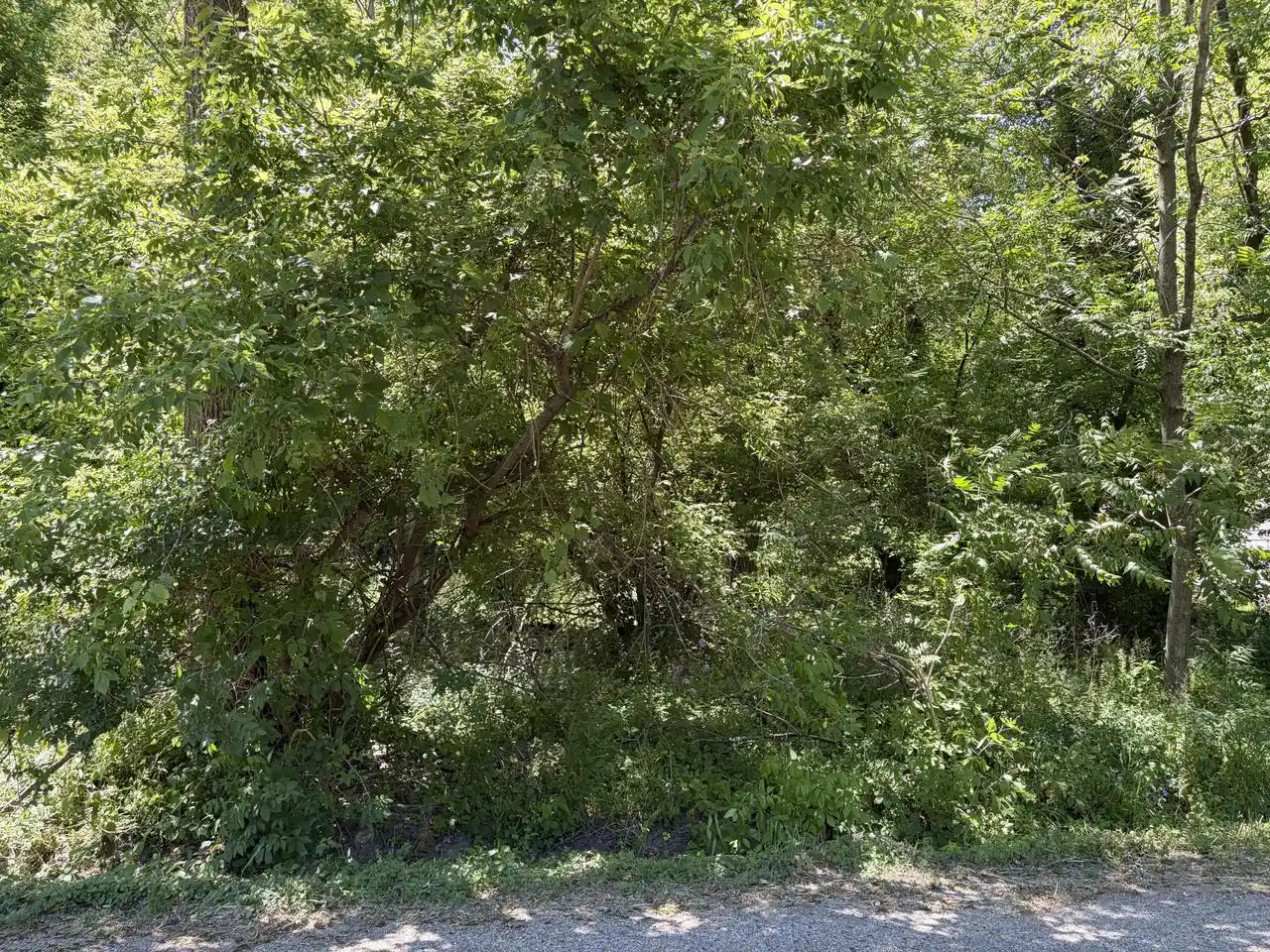 Homes for sale in Lake Geneva, WI | Lot 3759 Vine Road Road #Lts3759-3763, Lake Geneva, WI 53147 | MLS# 1968031