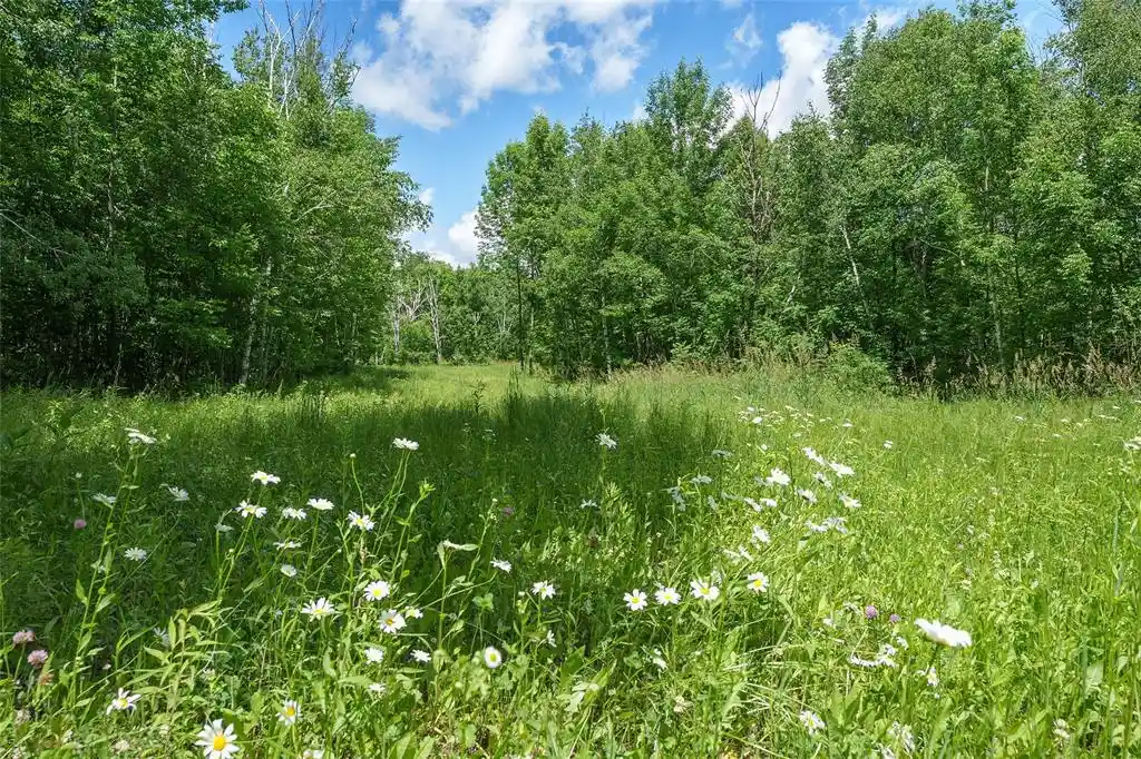 Homes for sale in Thorp, WI | Vacant Lot On Sunset Dr Dr, Thorp, WI 54771 | MLS# 1602420