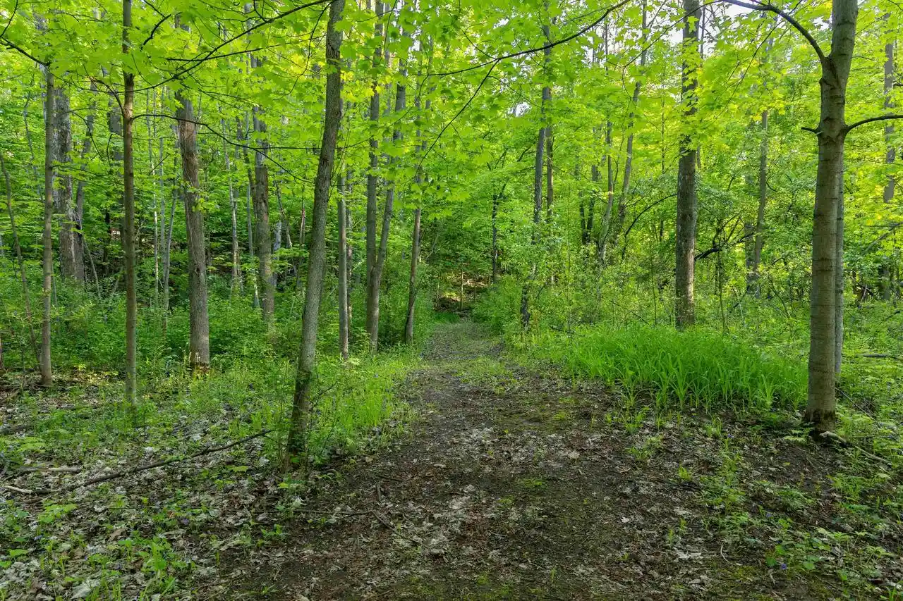4th image of 2756 Continental Dr Dr, Green Bay, WI 54311 | MLS# 50327711