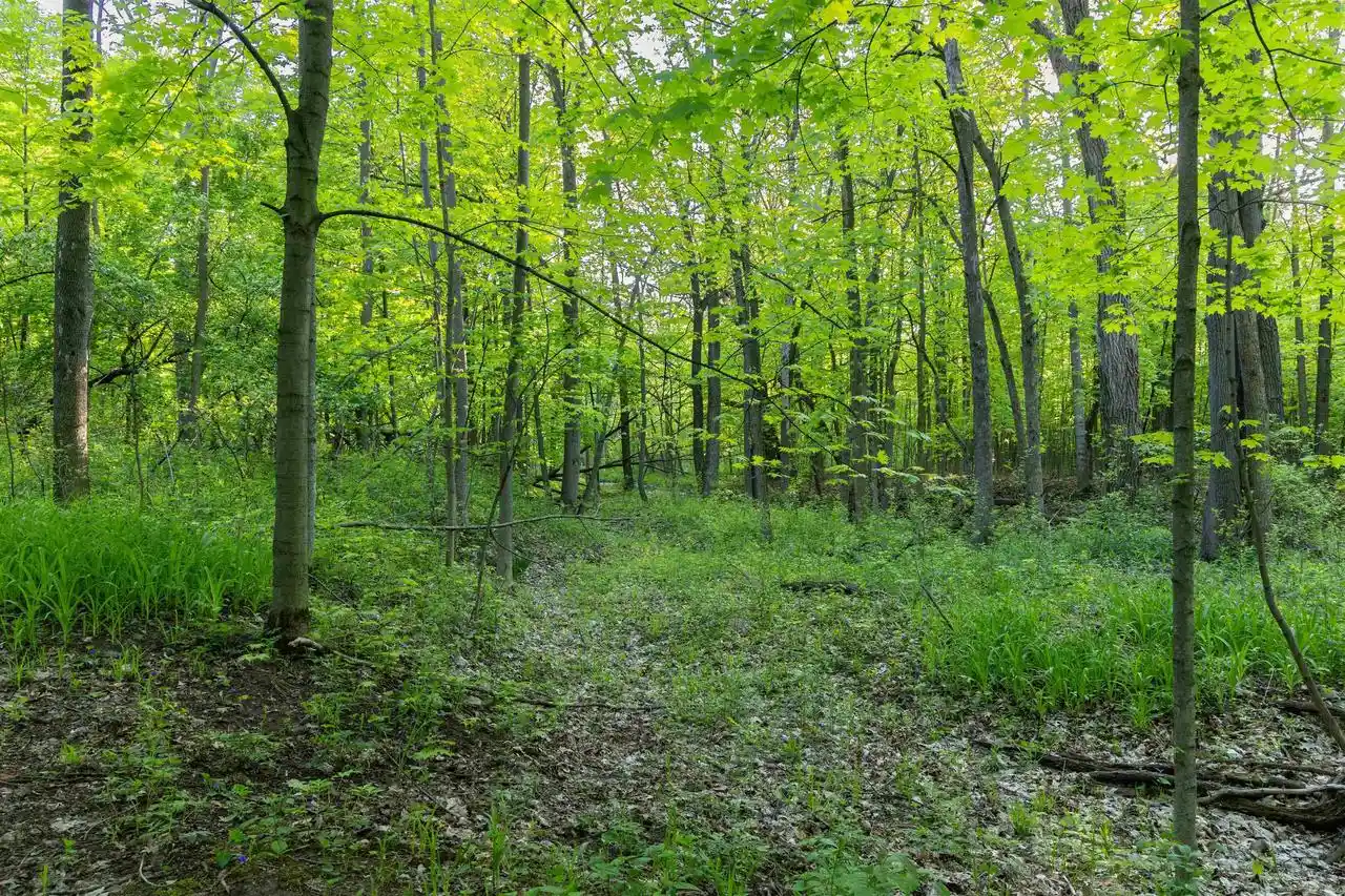 5th image of 2756 Continental Dr Dr, Green Bay, WI 54311 | MLS# 50327711