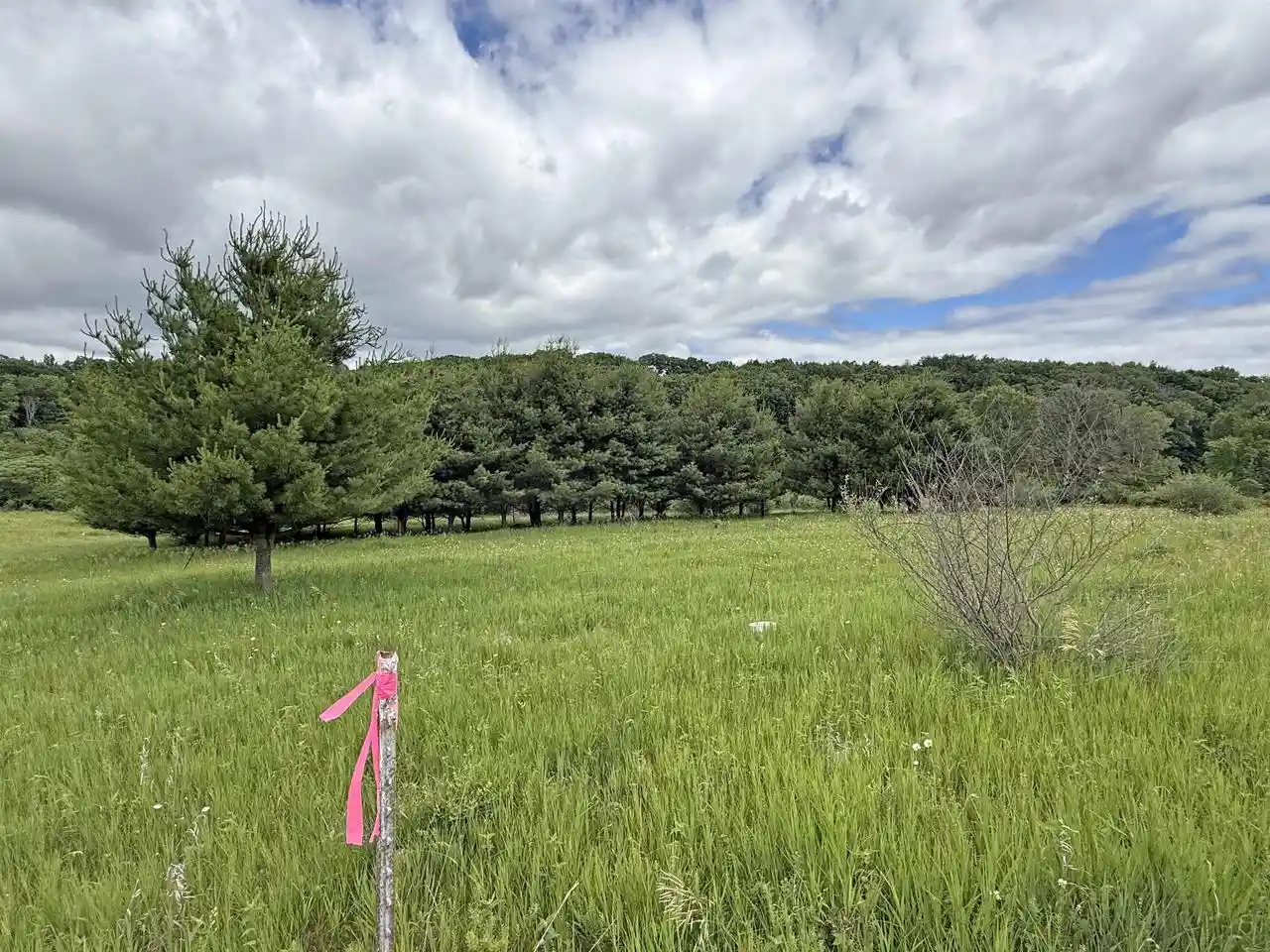 2nd image of Lots 263 264 Echo Court Court, La Valle, WI 53941 | MLS# 2026237