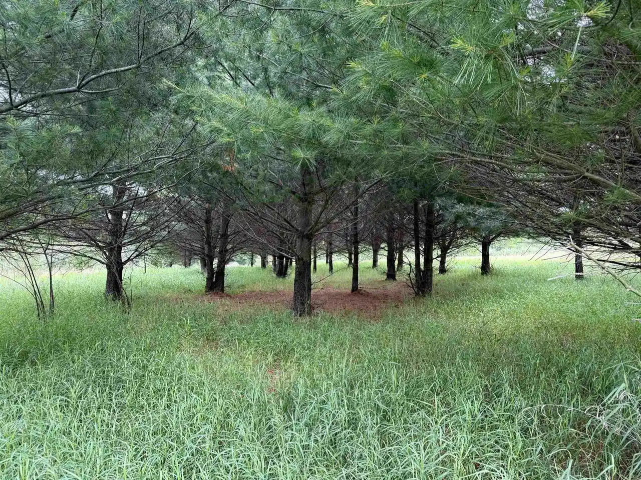5th image of Lots 263-264 Echo Court Court, La Valle, WI 53941 | MLS# 2026237