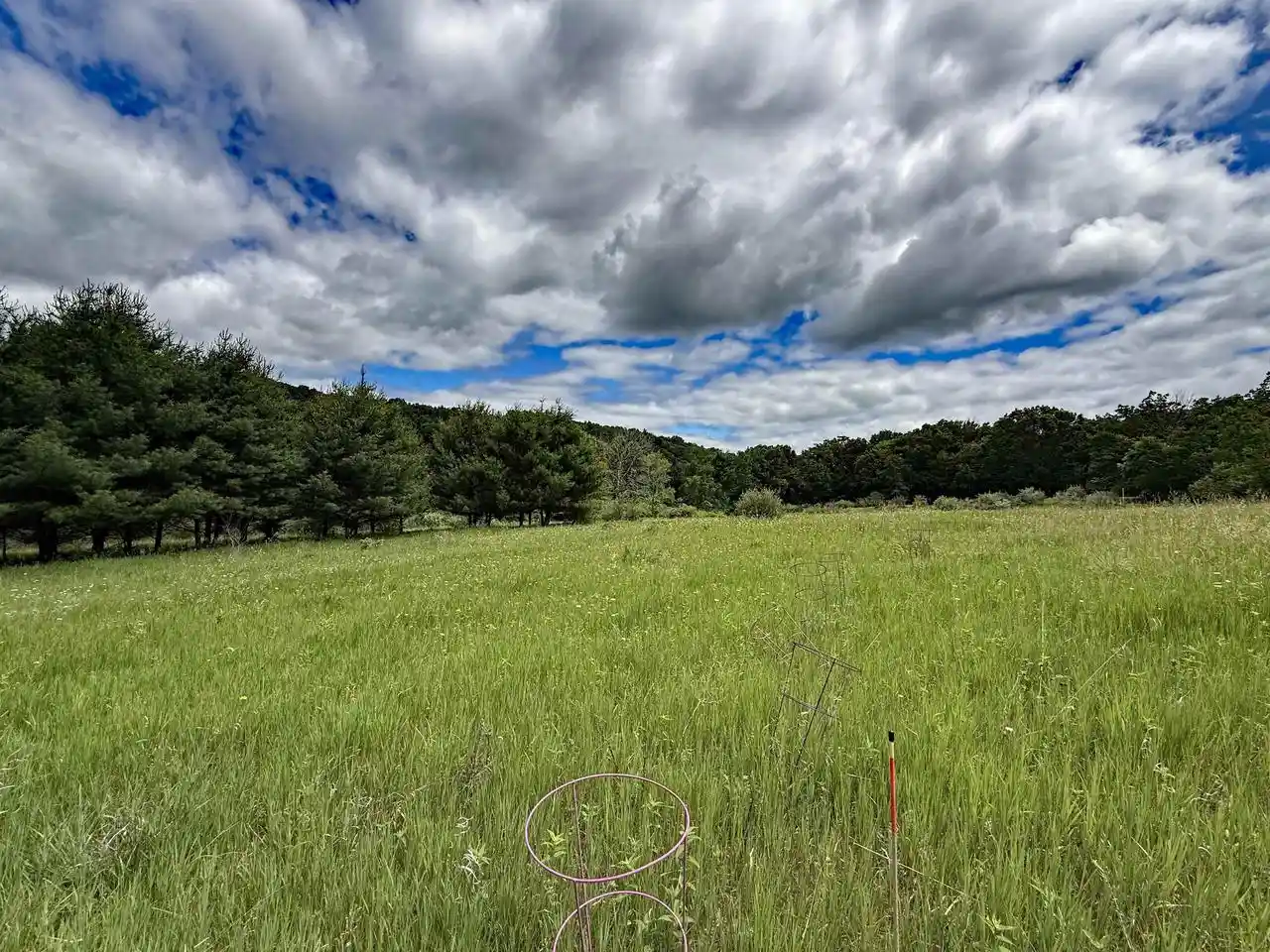 17th image of Lots 263 264 Echo Court Court, La Valle, WI 53941 | MLS# 2026237