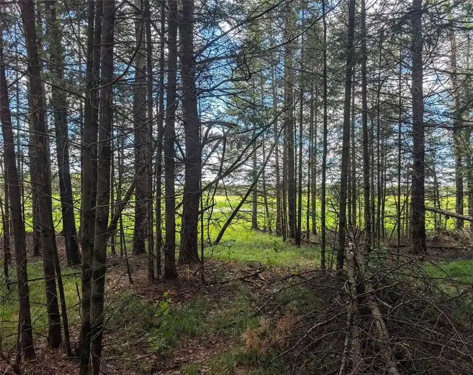 Homes for sale in Springbrook, WI | Lot 4 Main Rd, Springbrook, WI 54875 | MLS# 1602445