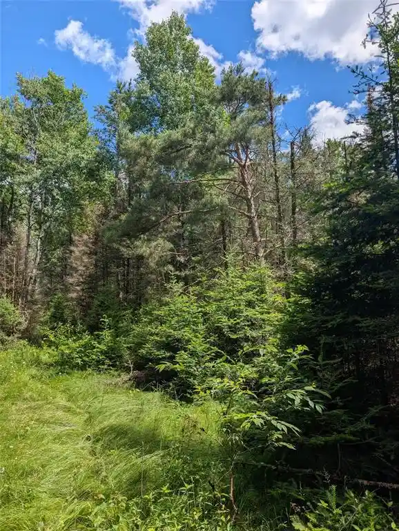 Homes for sale in Springbrook, WI | Lot 4 Main Rd, Springbrook, WI 54875 | MLS# 1602445