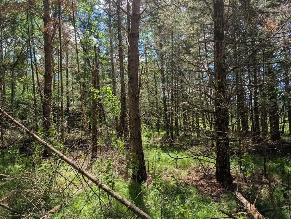 Homes for sale in Springbrook, WI | Lot 4 Main Rd, Springbrook, WI 54875 | MLS# 1602445