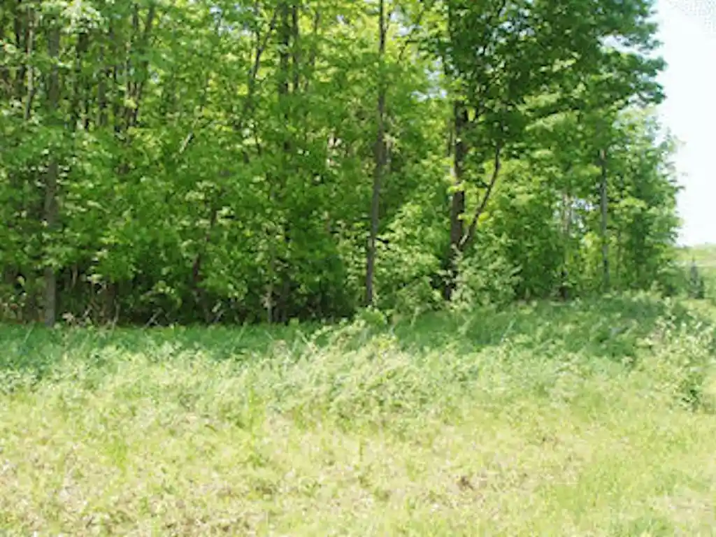 Homes for sale in Park Falls, WI | Lot 12, 4th Add Margaret Lane Lane, Park Falls, WI 54552 | MLS# 1602461