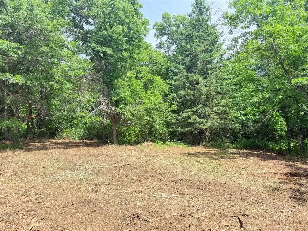 Homes for sale in Bruce, WI | 0 Peterson Road Road, Bruce, WI 54819 | MLS# 1602343